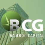 Bamboo Capital Lên Tiếng Trấn An Cổ Đông Về Tiến Độ Các Dự Án Chiến Lược - Người Tiên Phong