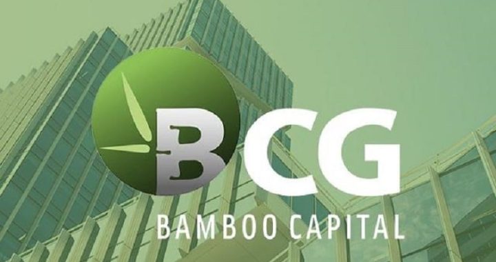 Bamboo Capital Lên Tiếng Trấn An Cổ Đông Về Tiến Độ Các Dự Án Chiến Lược - Người Tiên Phong