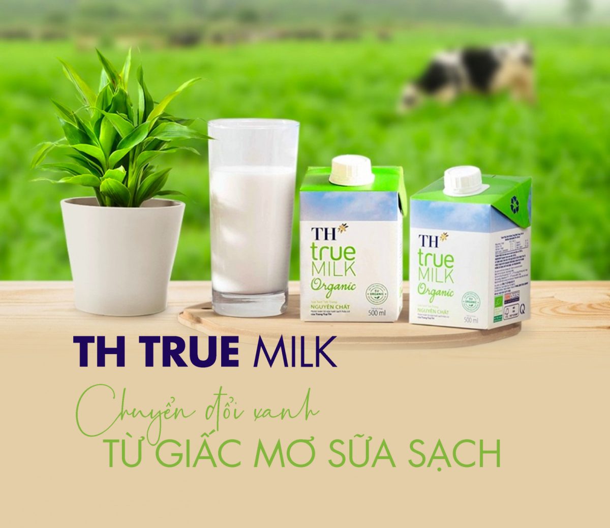 TH true MILK Định Hình Tiêu Chuẩn Nông Nghiệp Công Nghệ Cao Việt Nam - Người Tiên Phong