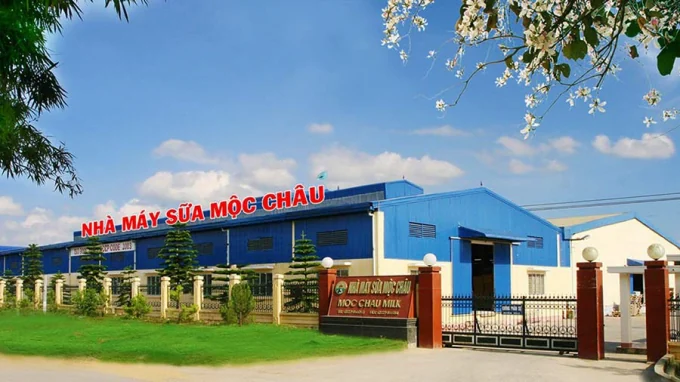 Lịch Sử Hình Thành Công Ty Giống Bò Sữa Mộc Châu 1958 Và Quá Trình Phát Triển: Hành Trình Khai Mở Dòng Sữa Tươi Sạch Cao Nguyên 11 Nhà Máy Công Ty Giống Bò Sữa Mộc Châu - Người Tiên Phong