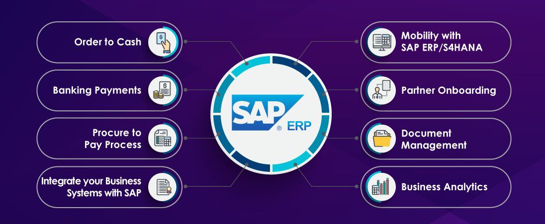 Các sản phẩm SAP- Người Tiên Phong